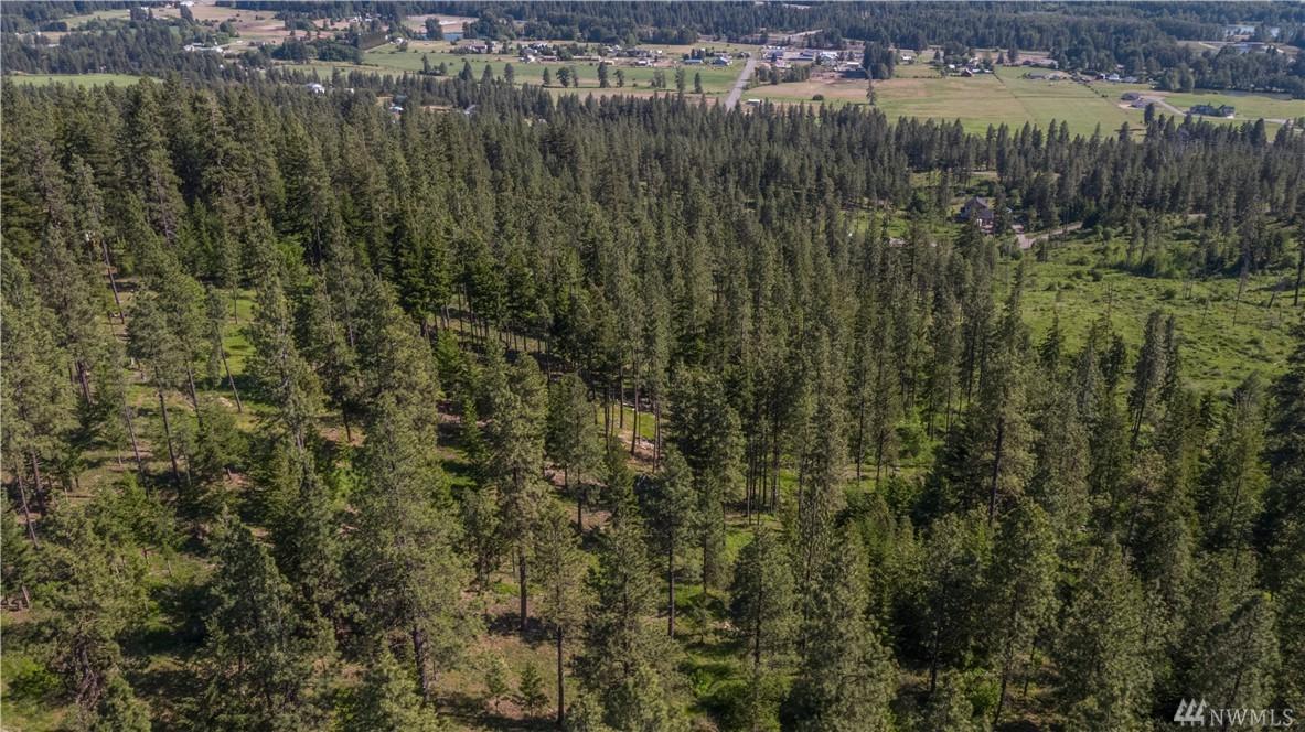0 Game Trail Rd - Photo 1
