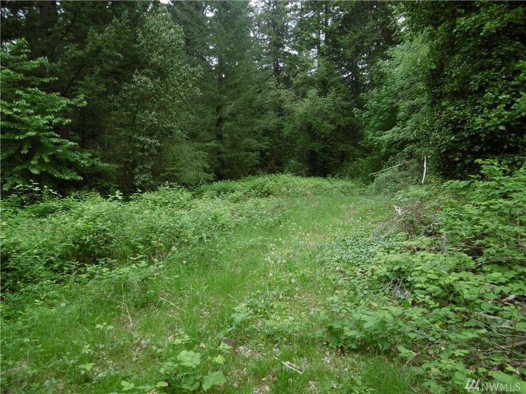 1306 Hoquiam Ave Ne - Photo 1