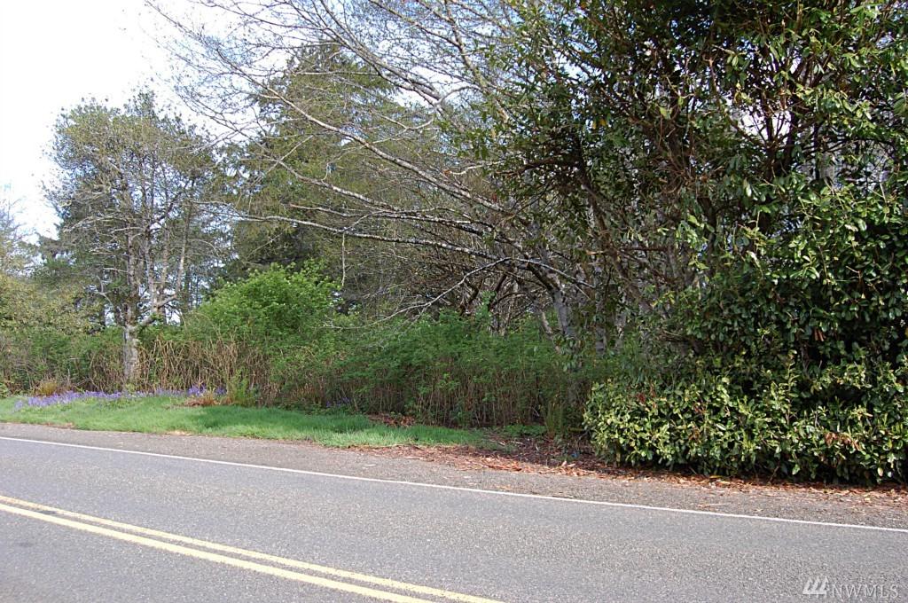8-Lot Copalis Beach Rd - Photo 1