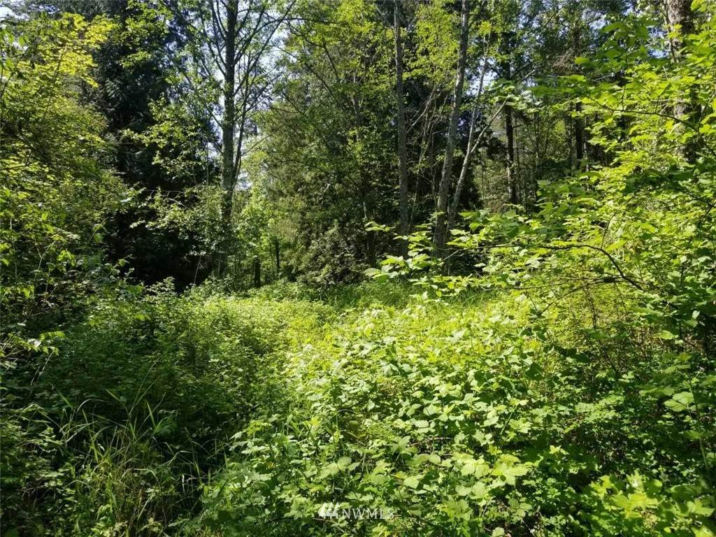 0 Harvey Road - Photo 1
