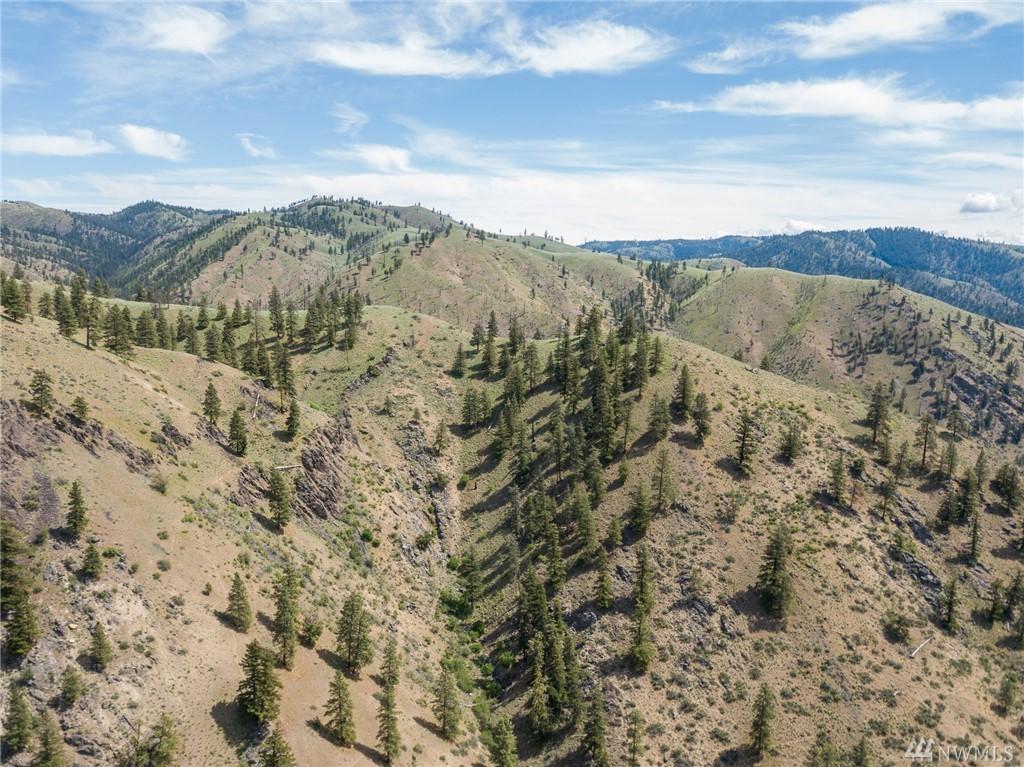 0 Entiat River Rd - Photo 1
