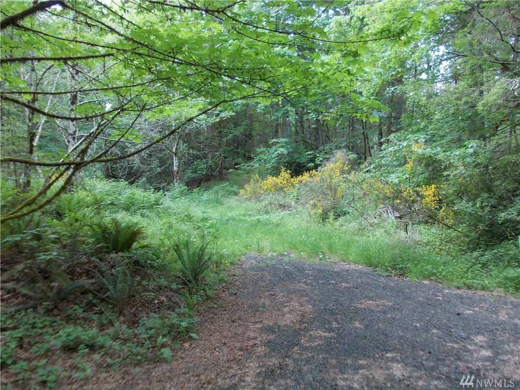 101 Mallard Beach Lane - Photo 1