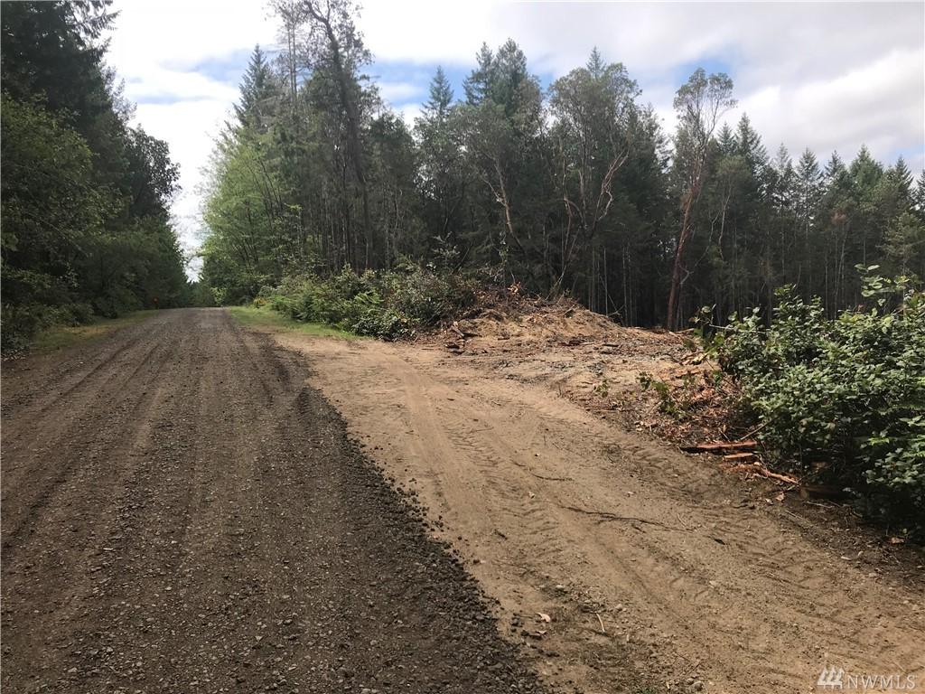 0 208th Ave - Photo 1