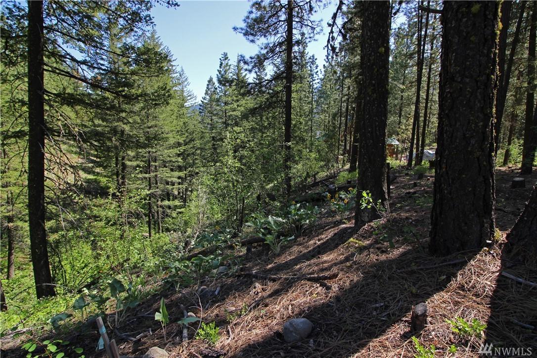 3 Bitterbrush Rd - Photo 1