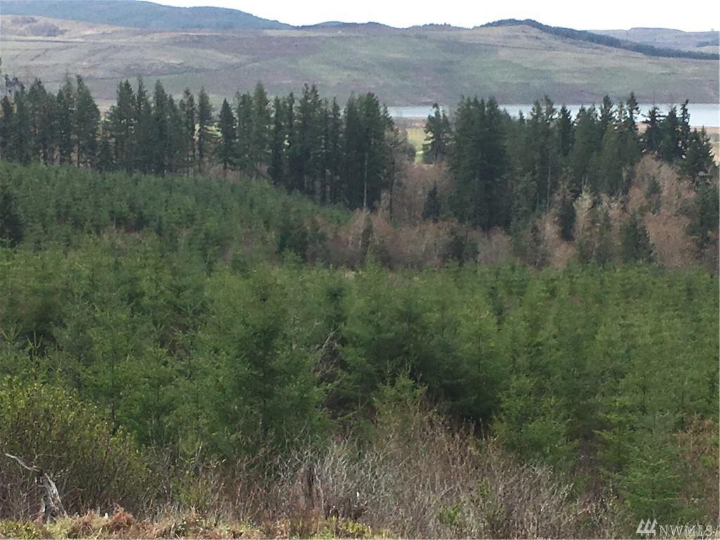 18-xx Big Hanaford Rd - Photo 1