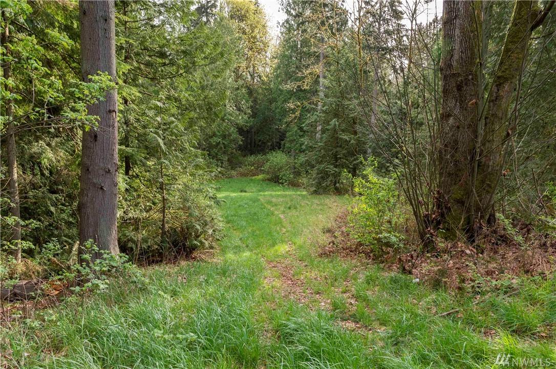 29036 Scenic Dr - Photo 1