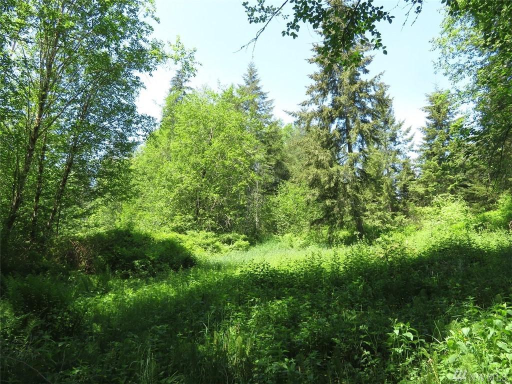 0-XXX Bellicum Rd - Photo 1