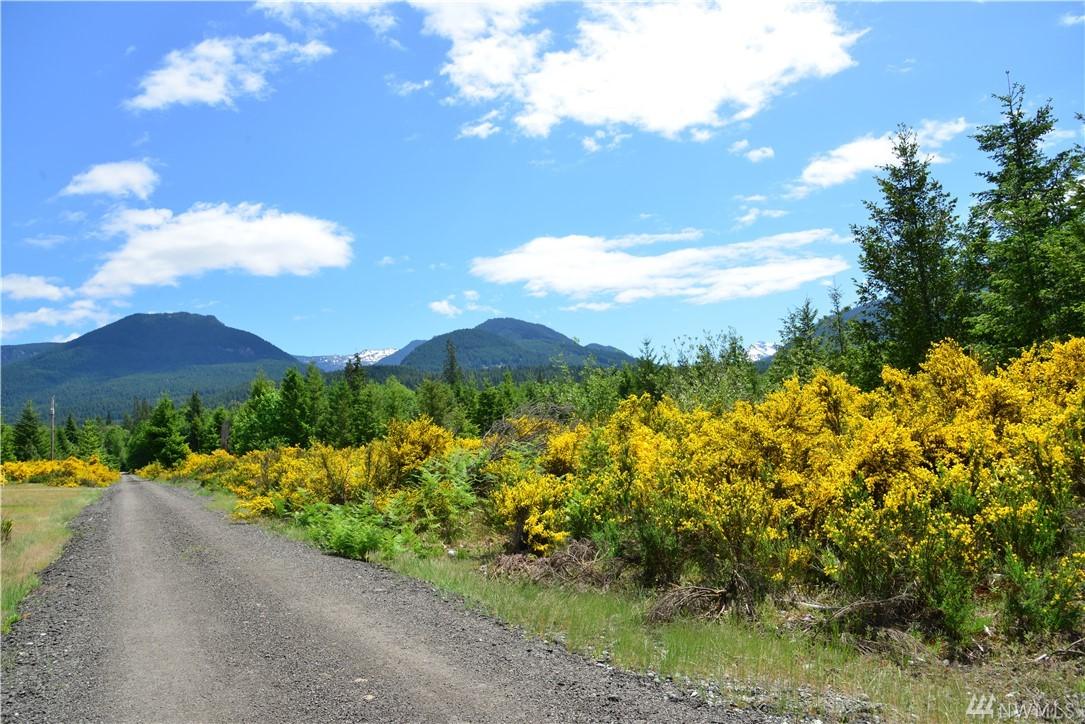 0 Eagle Peak Dr - Photo 1