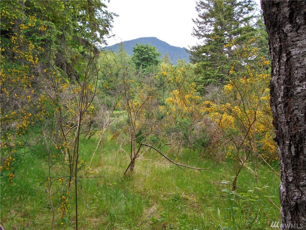 561 Church Rd - Photo 1