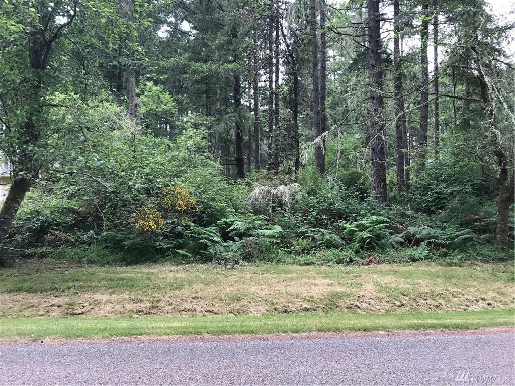 11015 Madrona Dr - Photo 1