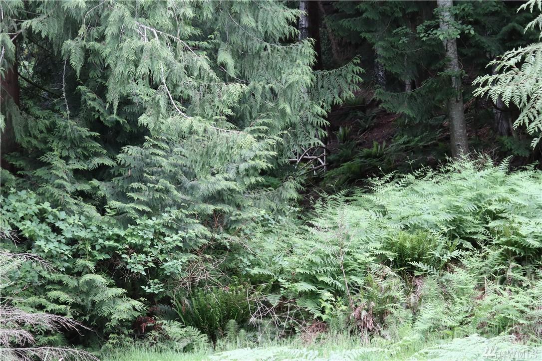 25 Stable Lane - Photo 1