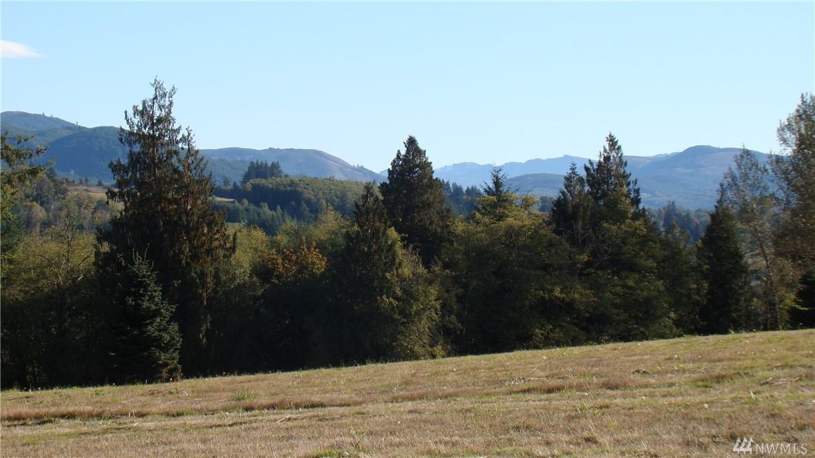 257-Lot 3 Blankenship Rd - Photo 1