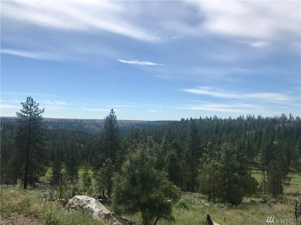 0 Meadow - Photo 1