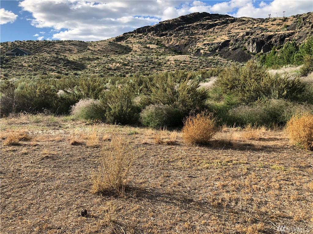 6 Coleman Butte No 1 - Photo 1
