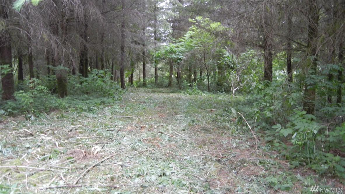 119 Snow Goose Dr - Photo 1