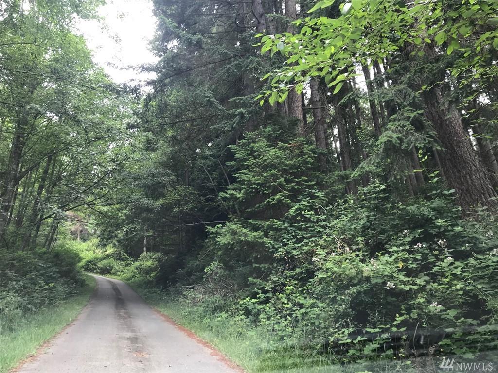 0 Forgotten Lane - Photo 1