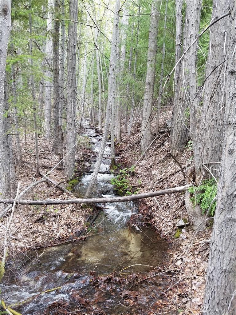 0 Entiat River Rd. - Photo 1
