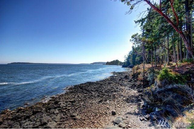 1101 Olele Point Rd - Photo 1