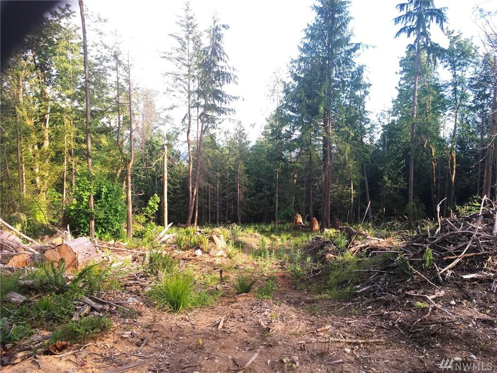 0 Cliffside Lane - Photo 1