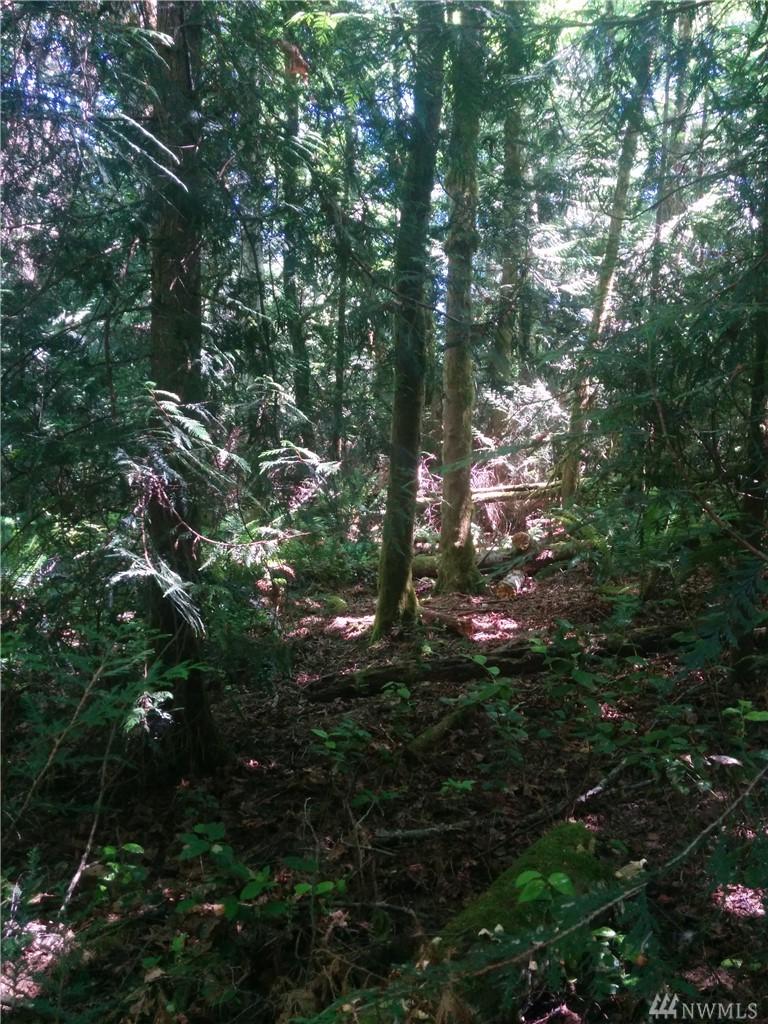 0 Harper Hill Road - Photo 1