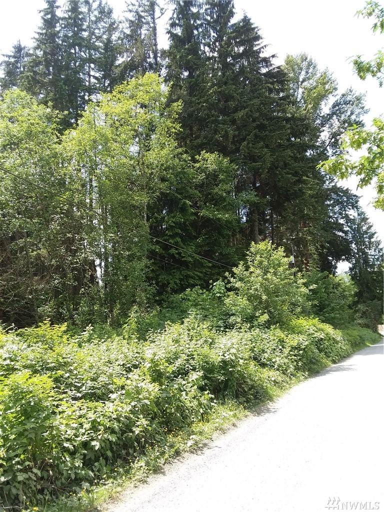 0 Silverton Wy - Photo 1