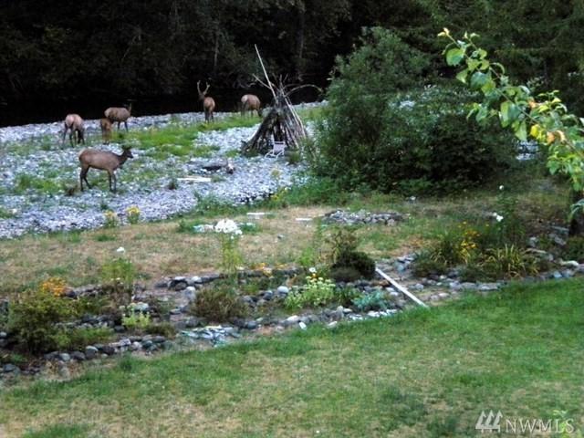 23320 Dorre Don Way - Photo 1