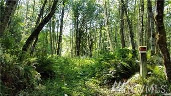 0 Pleasant Forest Rd - Photo 1