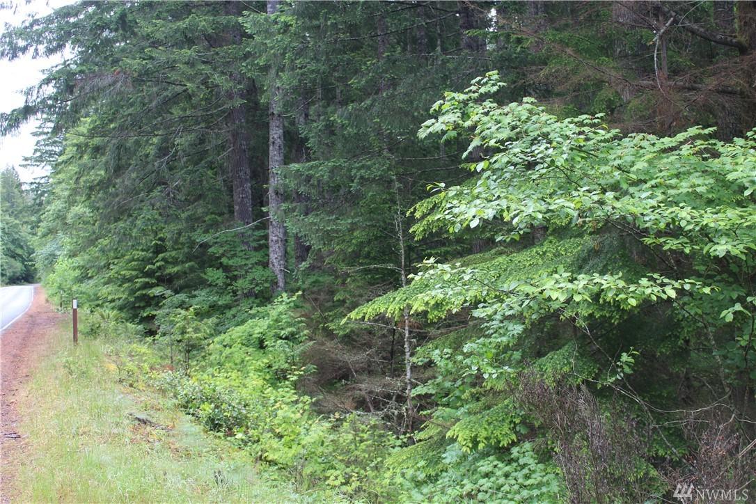 0 Hwy 119 - Photo 1
