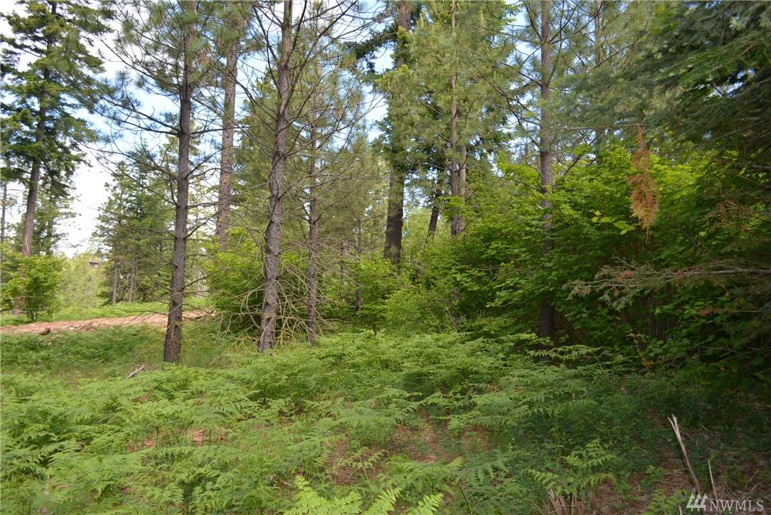 6 Steelhead Ct - Photo 1