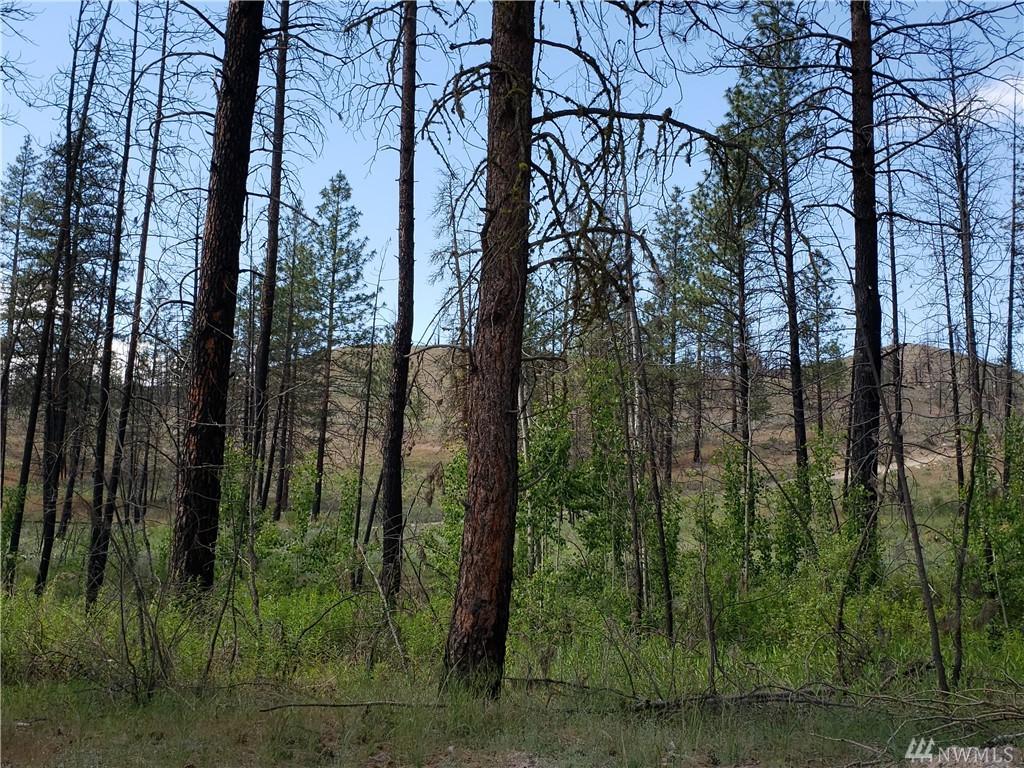0 French Creek Rd - Photo 1