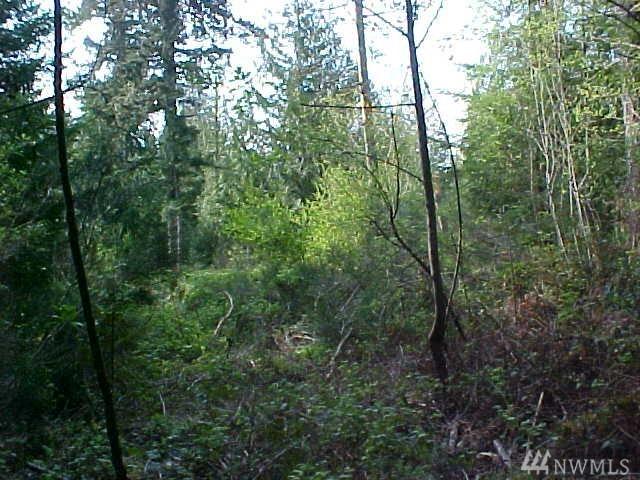 0 Jensen Rd - Photo 1