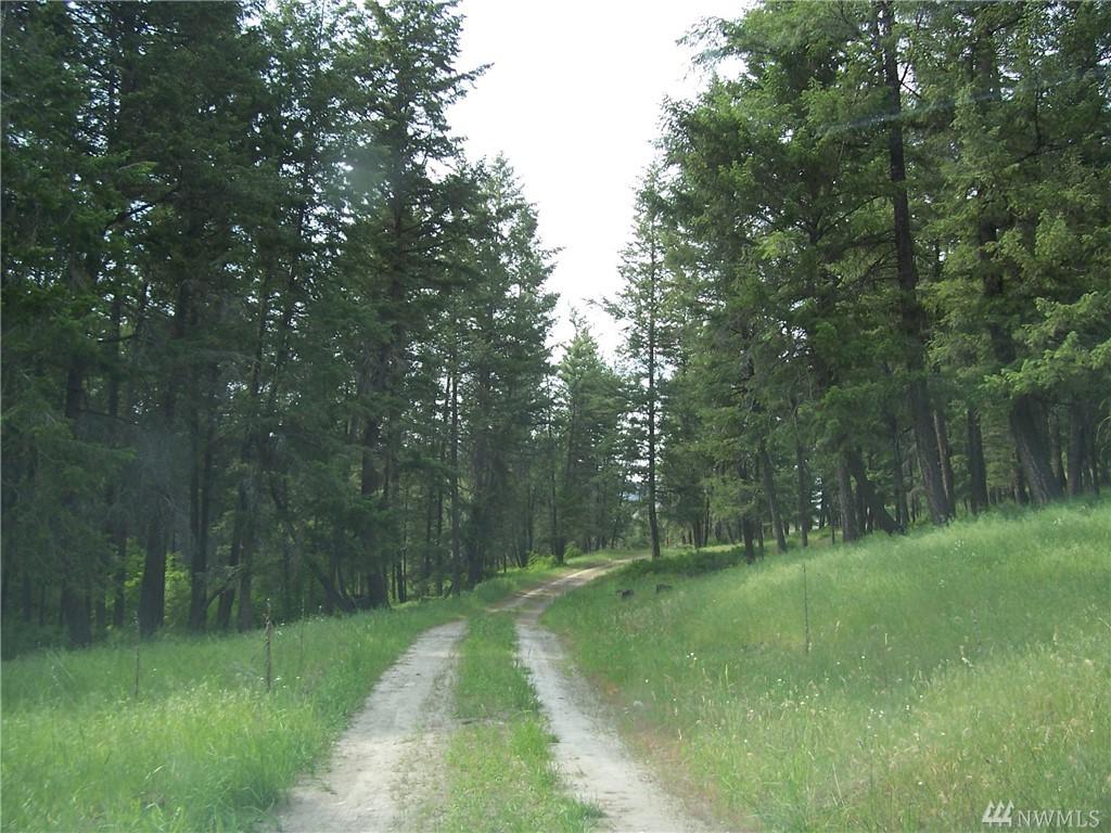 9999 Boulder Creek Rd - Photo 1