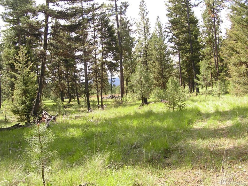 455 Roundabout Rd - Photo 1