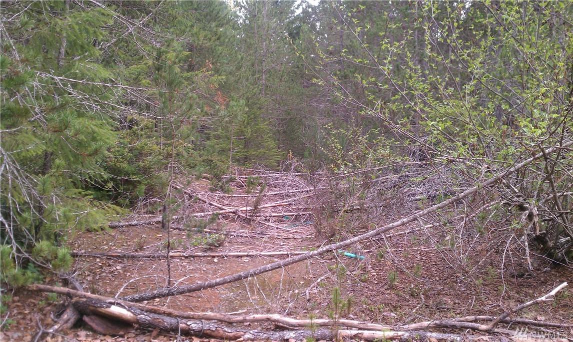 0-Lot A Shoe Lake Rd - Photo 1
