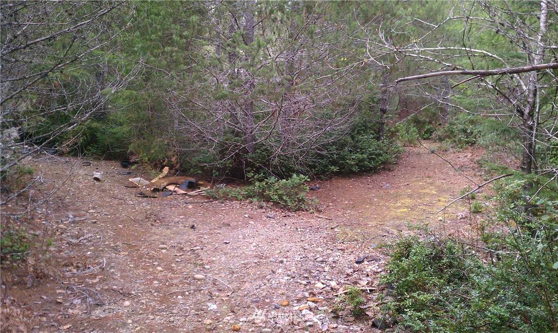 0 Shoe Lake Road - Photo 1