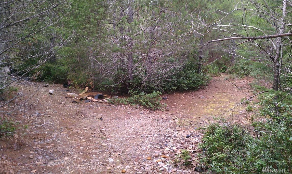 0-Lot B Shoe Lake Rd - Photo 1