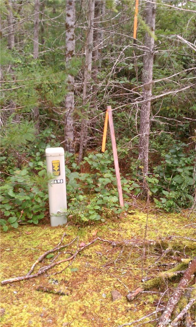 0-Lot 1 Shoe Lake Rd - Photo 1
