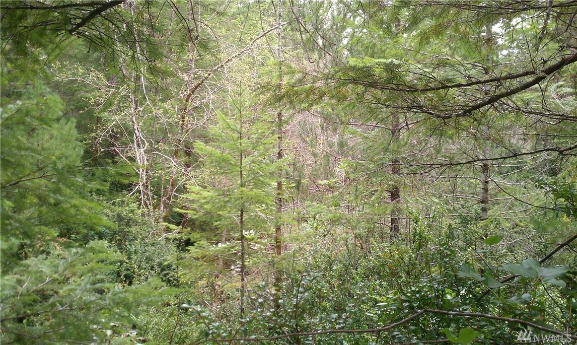 0-Lot 2 Shoe Lake Rd - Photo 1