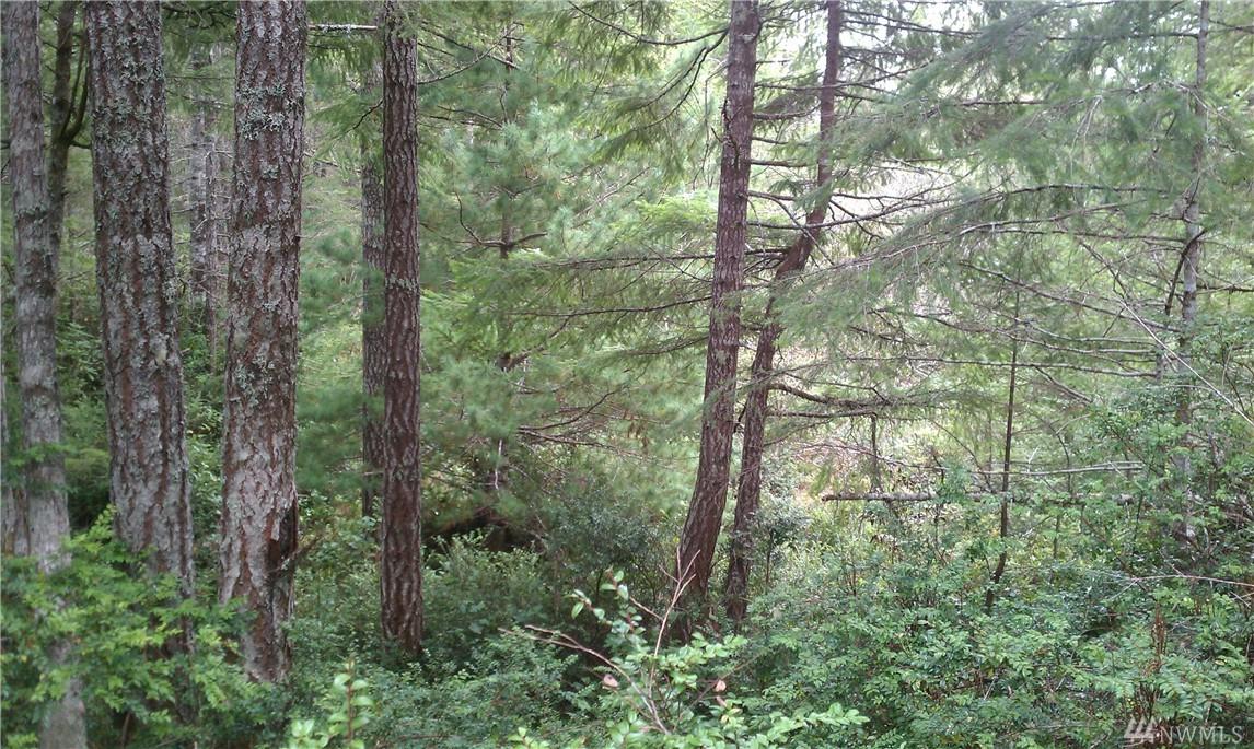 0-Lot 3 Shoe Lake Rd - Photo 1