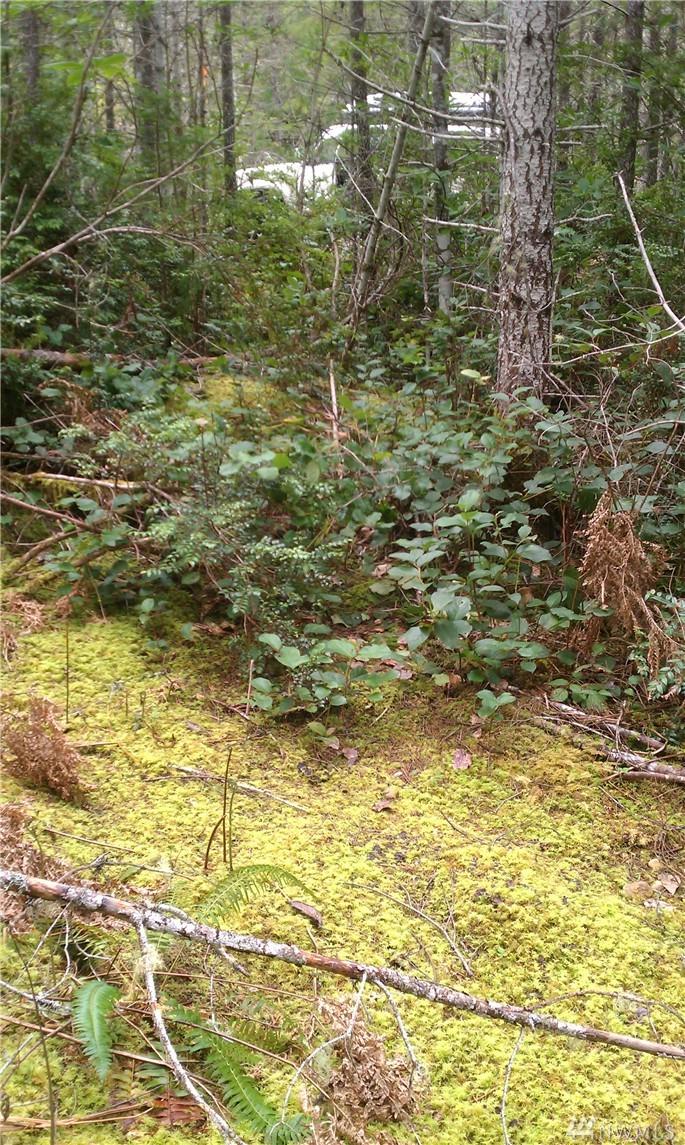 0-Lot 4 Shoe Lake Rd - Photo 1