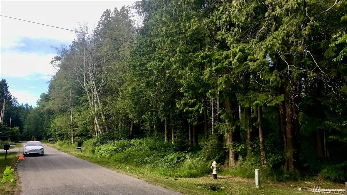 256 Shady Glen Lot 30-32 Ave - Photo 1