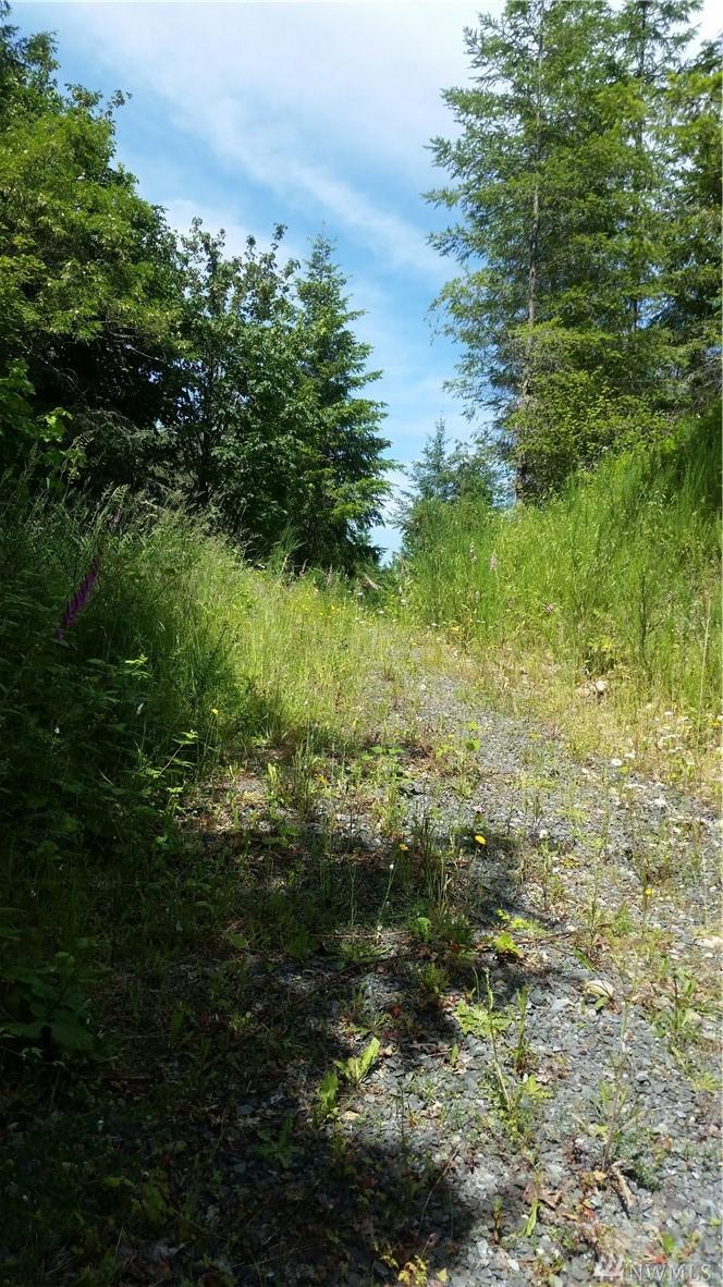 435 Meridian Ave - Photo 1
