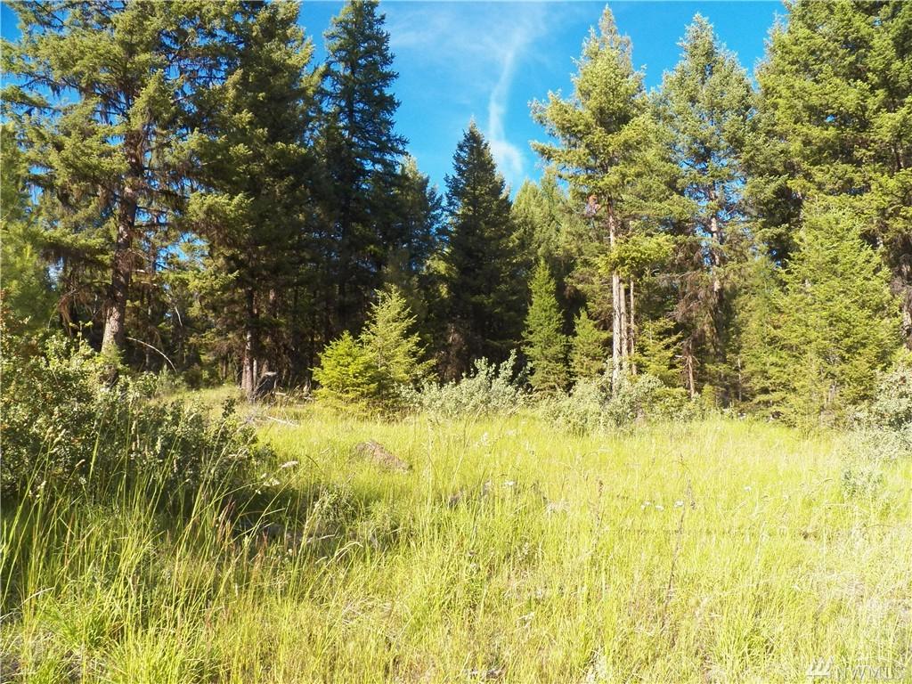 0 Prior Loop Rd - Photo 1