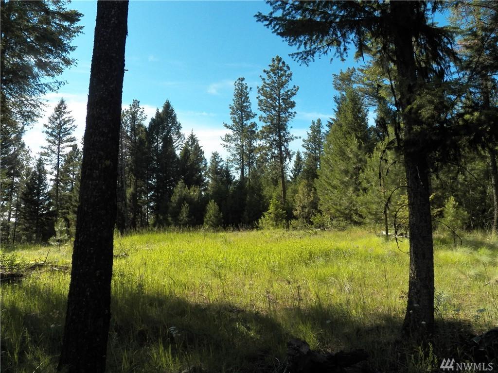 0 Wannamaker Rd - Photo 1