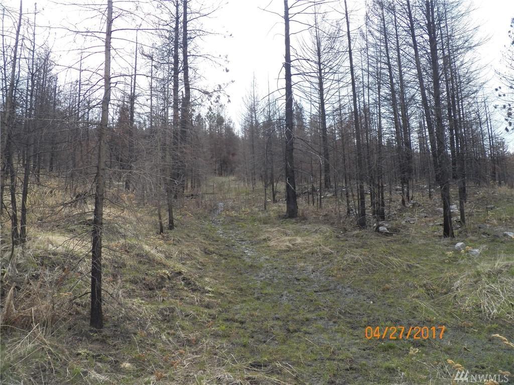0-Lot 19 Red Feather Rd - Photo 1