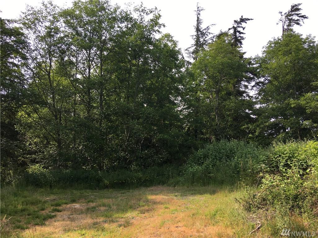 0 Mastodon Dr - Photo 1