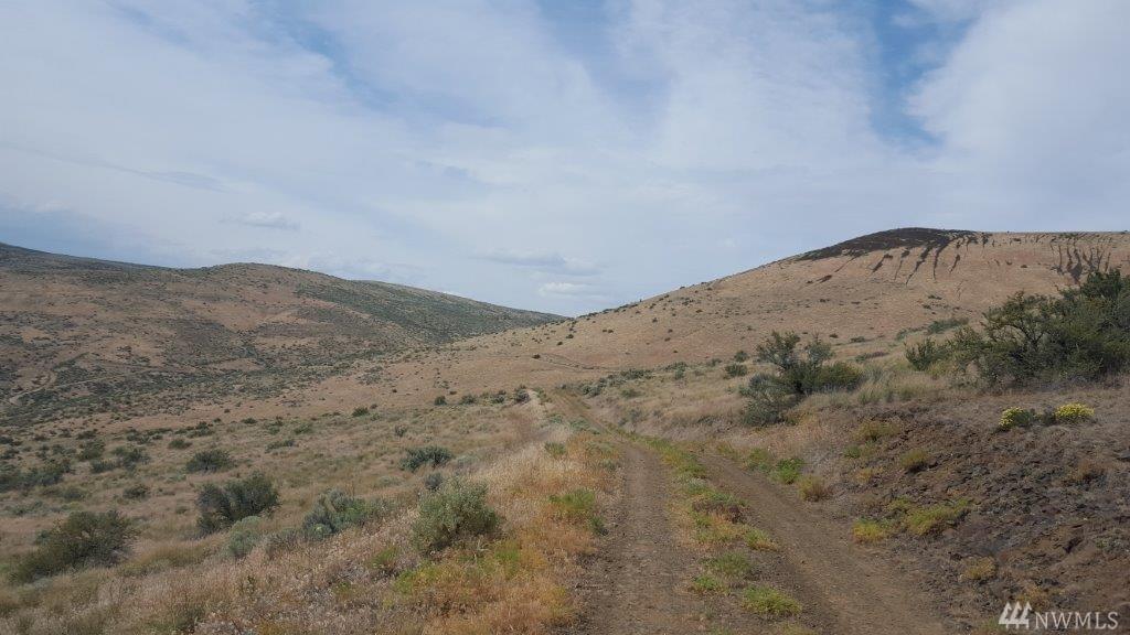 0-XXX Chapman Rd - Photo 1