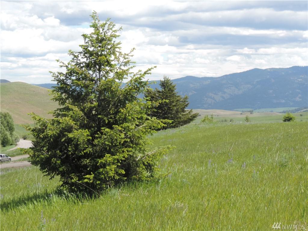 1-Lot H Moose Mtn Rd - Photo 1