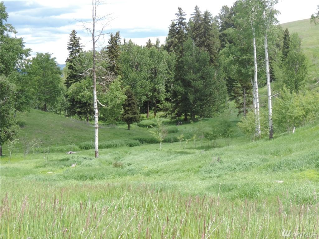 55-Lot K Moose Mtn Rd - Photo 1