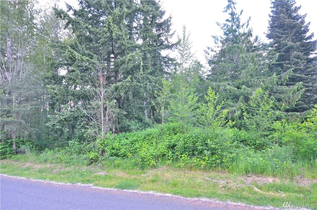 0 156th St Ct - Photo 1